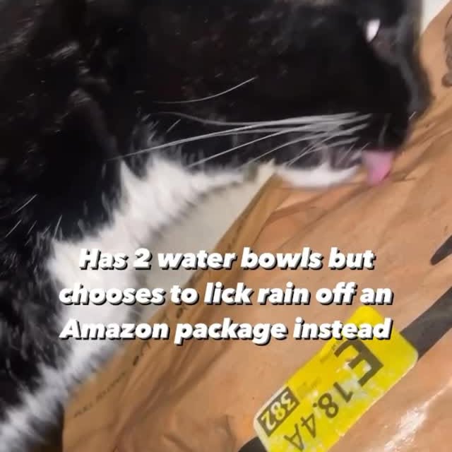  ...........irtonguesout   'recent posts' 