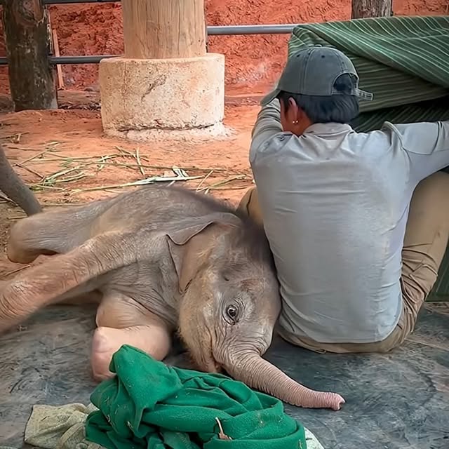  ........malsgram   'recent posts' 