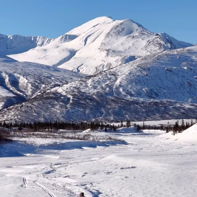  ......dchichi   'recent posts' 