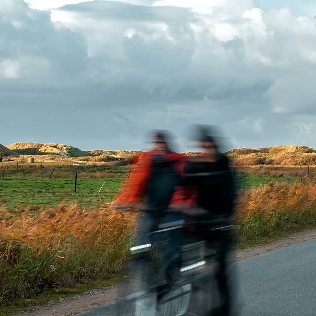  ........phpartsch   'recent posts' 