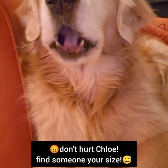  ..ps   'recent posts' 