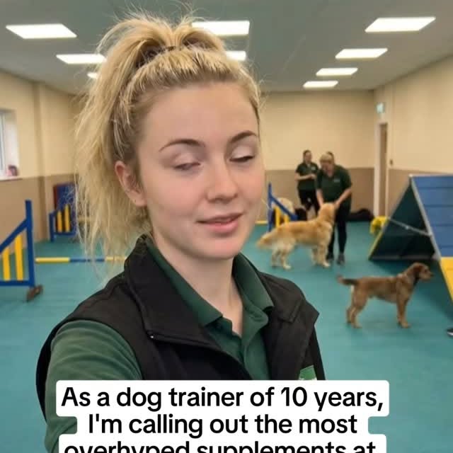  ..........n.retriever   'recent posts' 