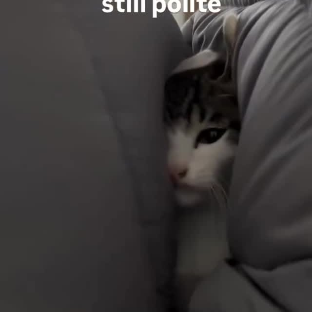  .....attos   'recent posts' 