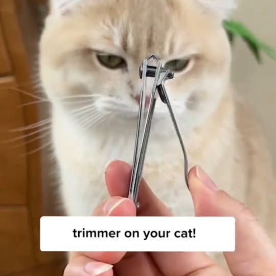  .......ats_club   'recent posts' 