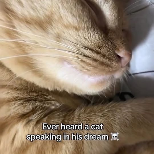  ......lyfans   'recent posts' 