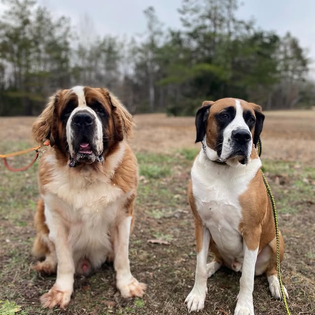  .........intbernard   'recent posts' 