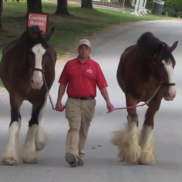  ...wild   'recent posts' 