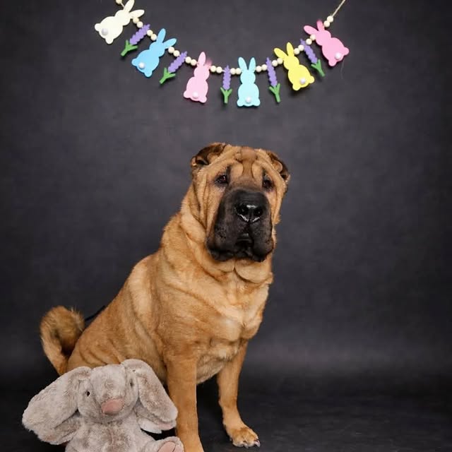  ......i.world   'recent posts' 