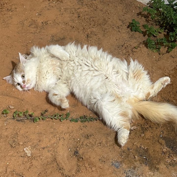 Hire .._s9 influencer with 103.6k