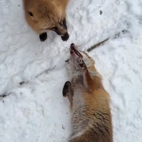  ..........discoverer   'recent posts' 