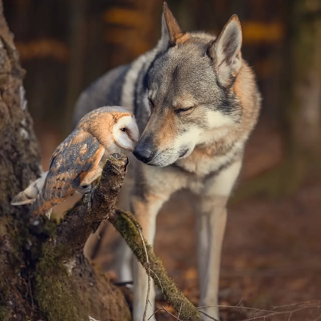  .........onworldpix   'recent posts' 