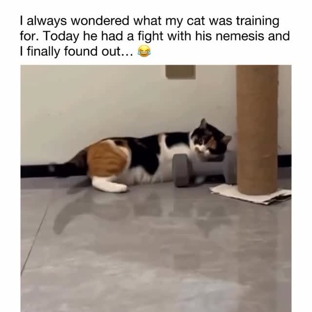  ......ctcars   'recent posts' 