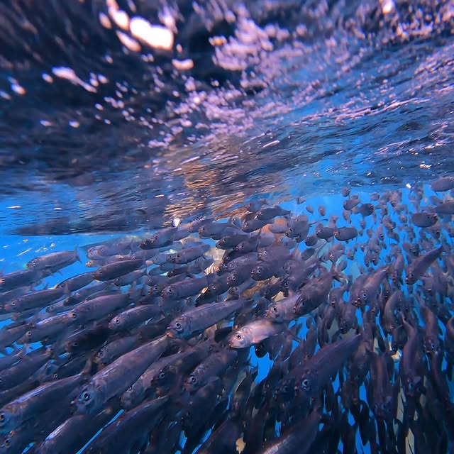  ......uecoast   'recent posts' 