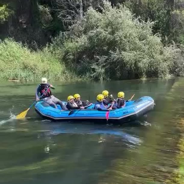  .....lsclub   'recent posts' 