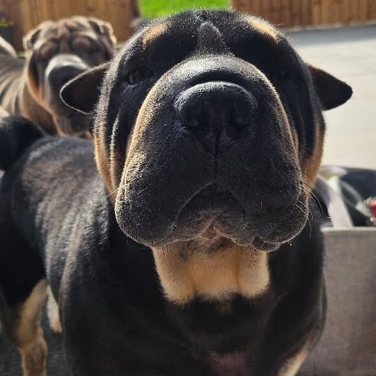  ......i.world   'recent posts' 