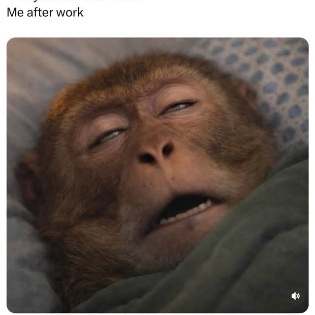  .........edstruggle   'recent posts' 