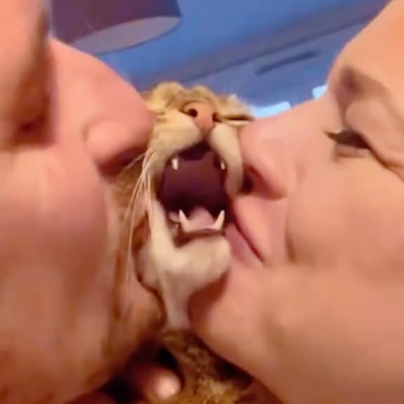  .....fweek   'recent posts' 