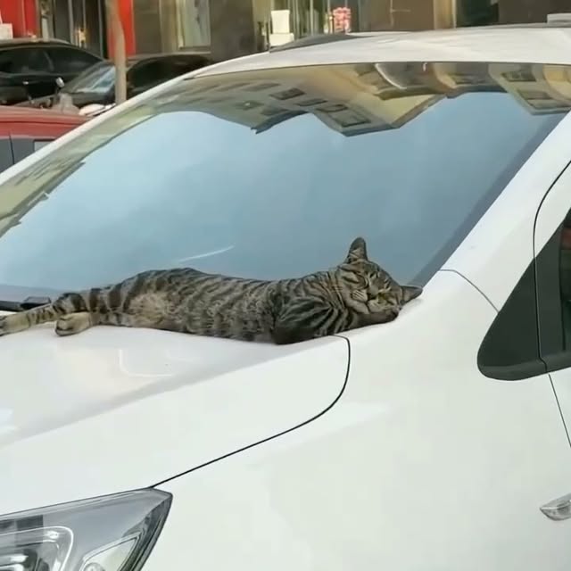  .....ns.hub   'recent posts' 