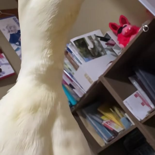  ........ckstatue   'recent posts' 