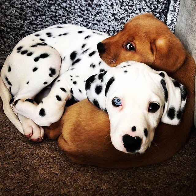  ........malsgram   'recent posts' 