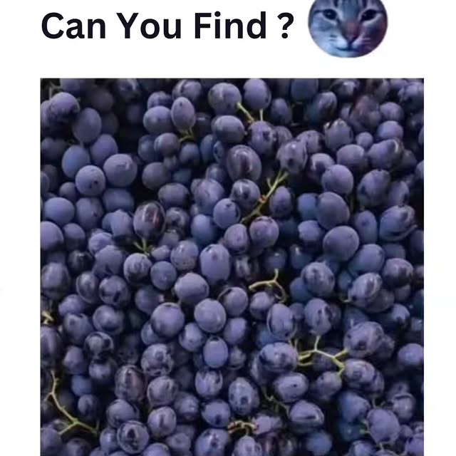  .......cesgoal   'recent posts' 