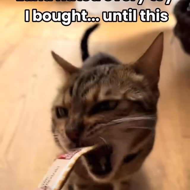  .......ermemes   'recent posts' 