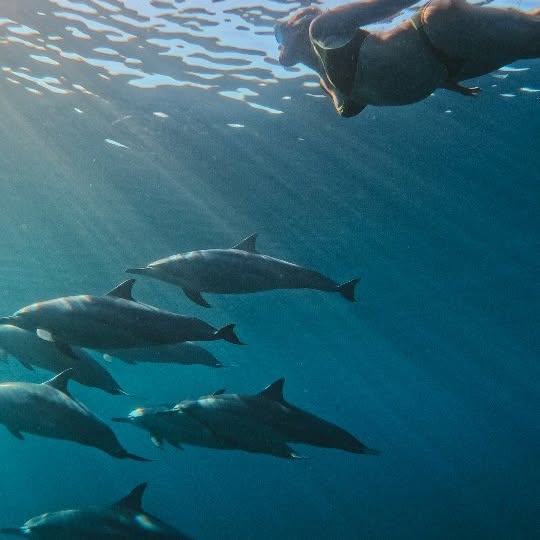  .......rsofsam   'recent posts' 