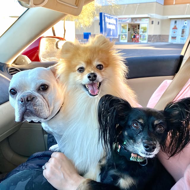  ......aveling   'recent posts' 