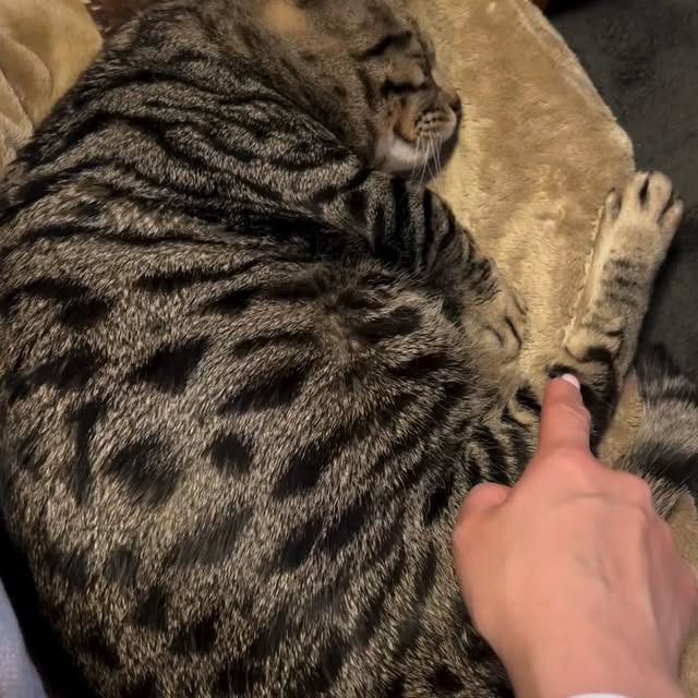  .....li9ht   'recent posts' 