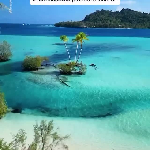  .....lsclub   'recent posts' 