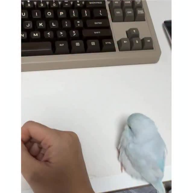  ..obe   'recent posts' 