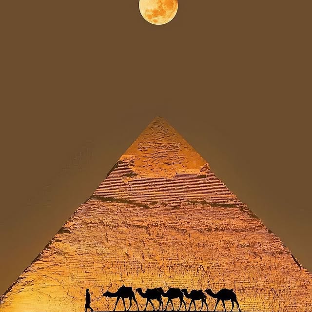  ......sfever   'recent posts' 