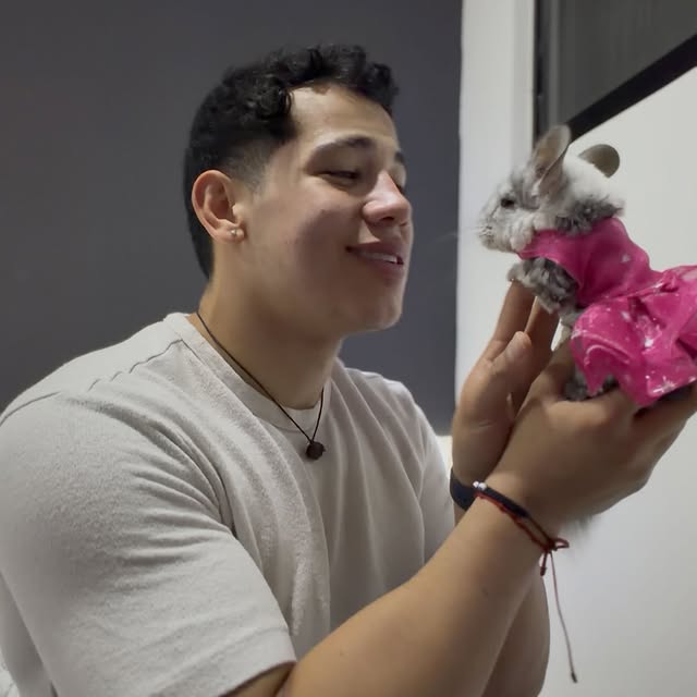  ........del_exito   'recent posts' 