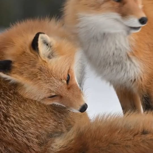  ........vacations   'recent posts' 