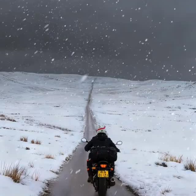  ......ureshub   'recent posts' 