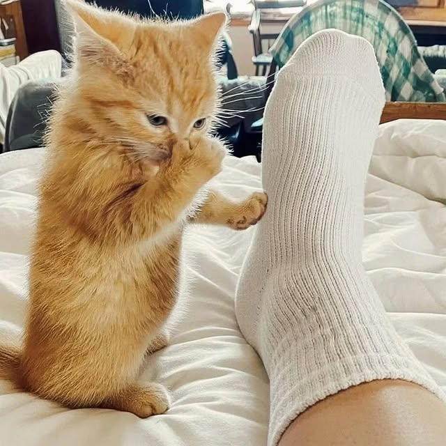  ......nd.kits   'recent posts' 