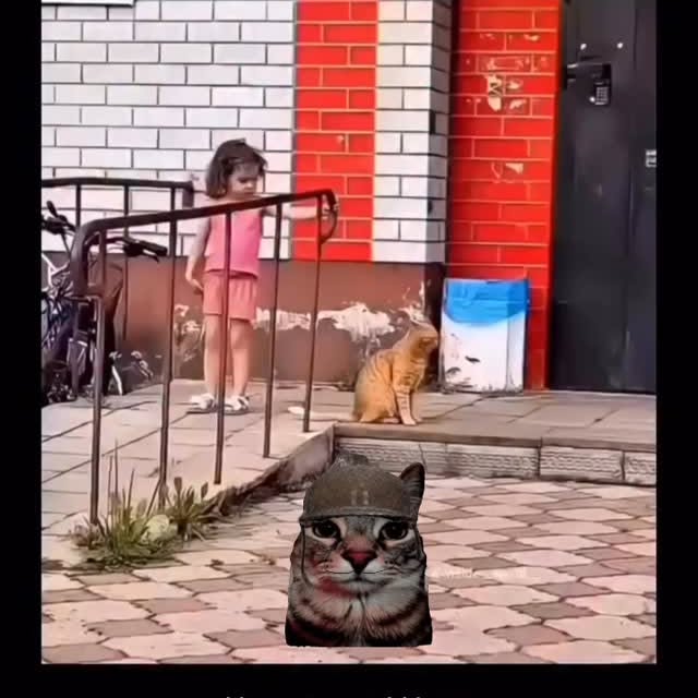  ....eowsy   'recent posts' 