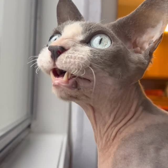  ......kekkek   'recent posts' 