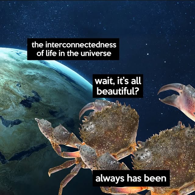  .....0shit   'recent posts' 