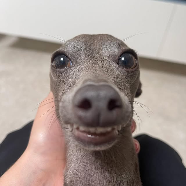  .....eiggy   'recent posts' 