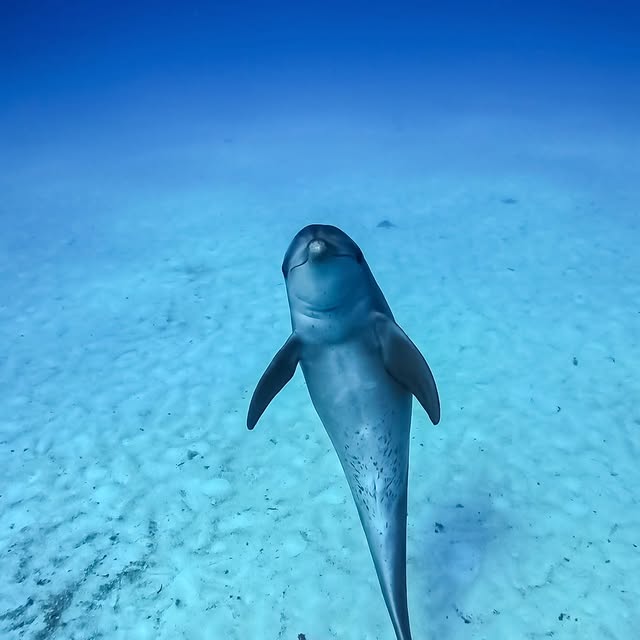  ......uecoast   'recent posts' 