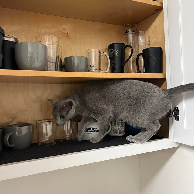  ......n_boris   'recent posts' 