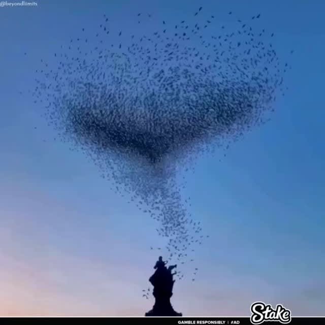  ......liimits   'recent posts' 