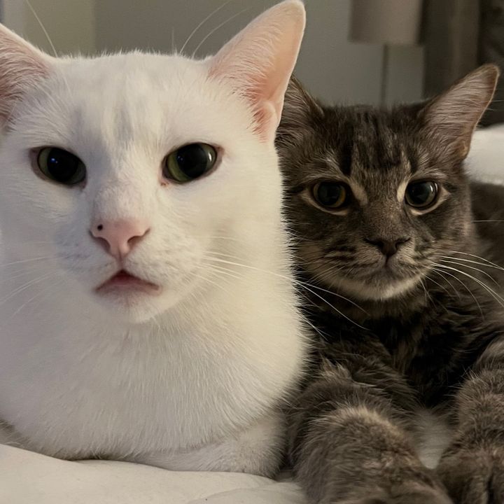 Hire .....ndmina influencer with 90k