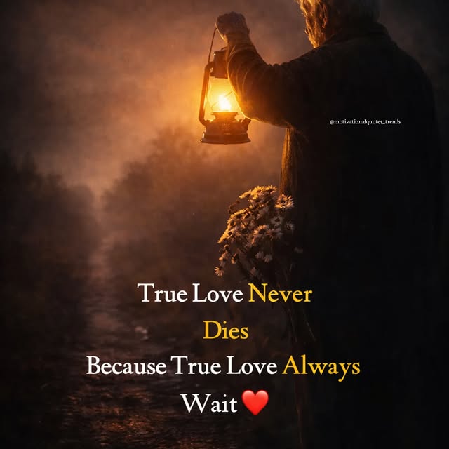  ............quotes_trends   'recent posts' 