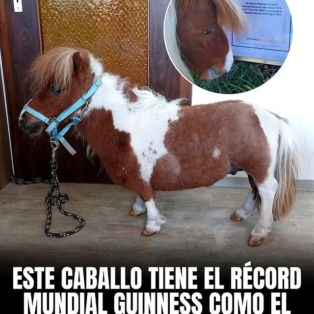  .......dadesdl   'recent posts' 