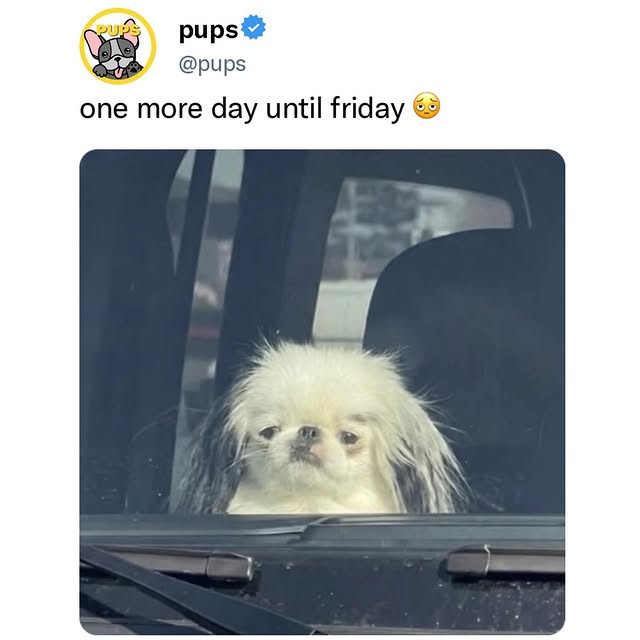  ..ps   'recent posts' 