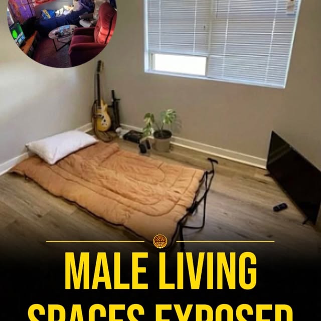  ....vita   'recent posts' 