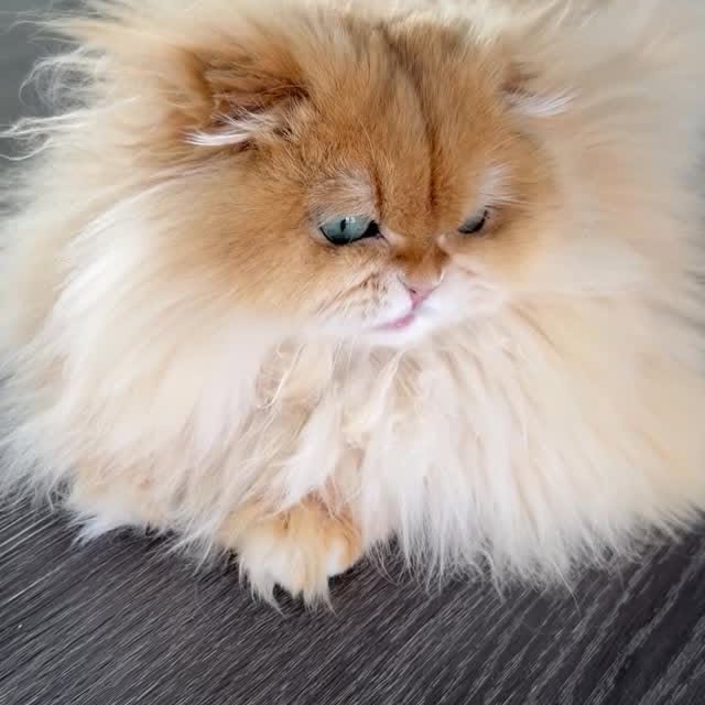  ......kekkek   'recent posts' 