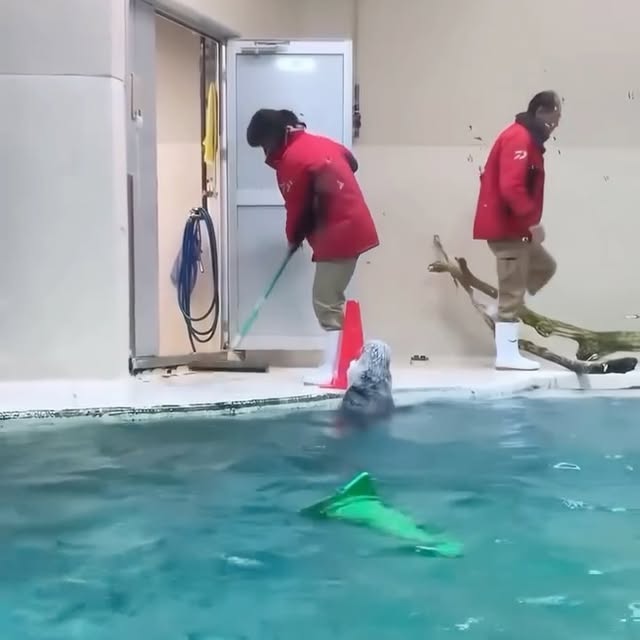  ...urre   'recent posts' 